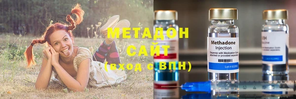 шишки Арсеньев