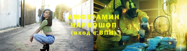 шишки Арсеньев