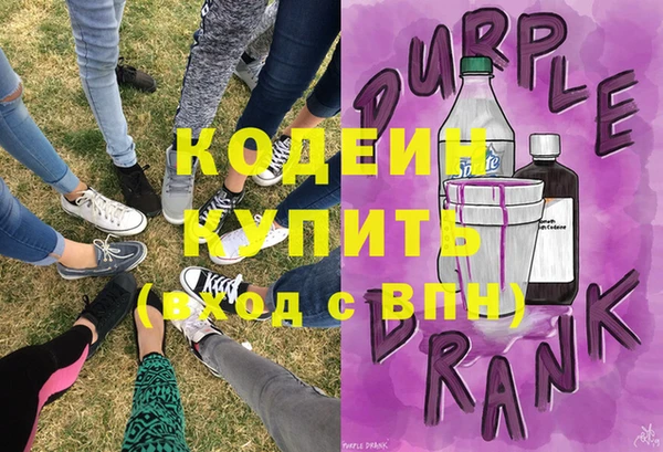 шишки Арсеньев