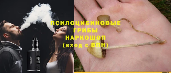 PSILOCYBIN Аркадак