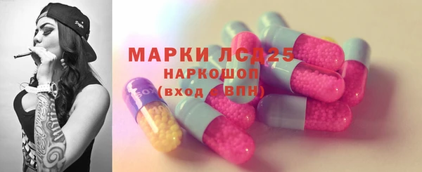 PSILOCYBIN Аркадак