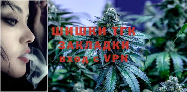 шишки Арсеньев
