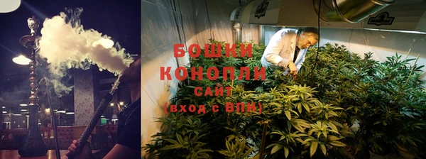 PSILOCYBIN Аркадак