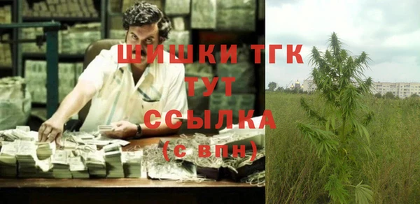 шишки Арсеньев
