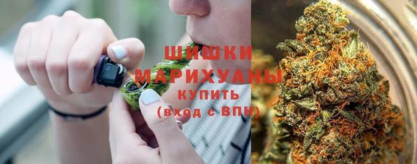PSILOCYBIN Аркадак