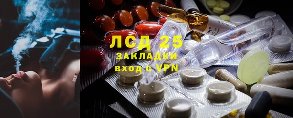 PSILOCYBIN Аркадак