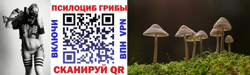 Псилоцибиновые грибы прущие грибы Белогорск